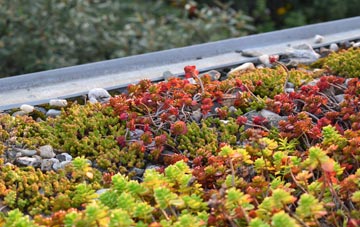 the cost of Pottery Field green roof installation