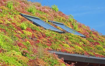 Pottery Field living roof systems
